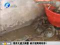 鄭開大道大閘蟹 缺斤短兩何時休？
