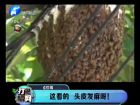 這看的 頭皮發(fā)麻呀！-打漁曬網(wǎng)