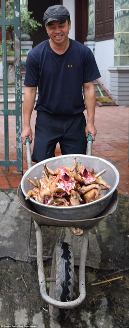 越南貓肉餐廳：將貓淹死、剝皮、切成小塊，再油炸
